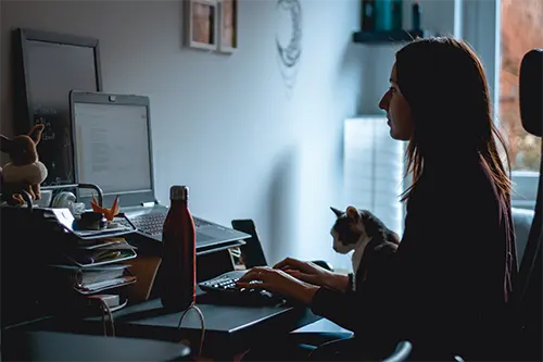 Content Editor