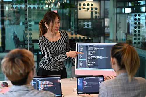 Web Programer