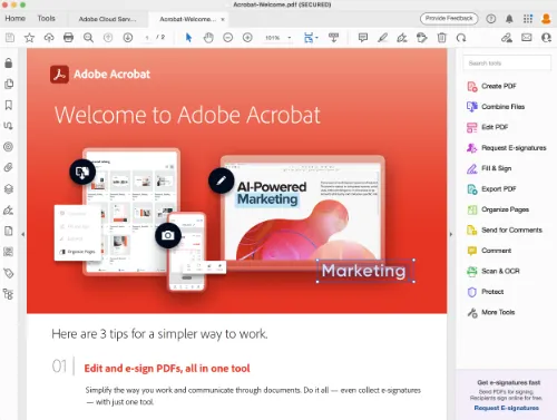 Adobe Acrobat Reader