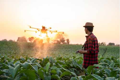 Pemanfaatan Drone dan Sensor di Bidang Pertanian