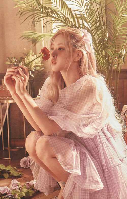 Rose BLACKPINK Icon Fashion