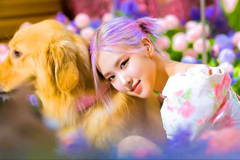 Roseanne Park, Perjalanan dari BLACKPINK ke Ikon Fashion