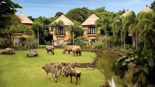 Mara River Safari Lodge, Bali